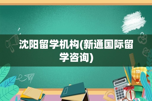 沈阳留学机构(新通国际留学咨询)