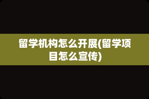 留学机构怎么开展(留学项目怎么宣传)