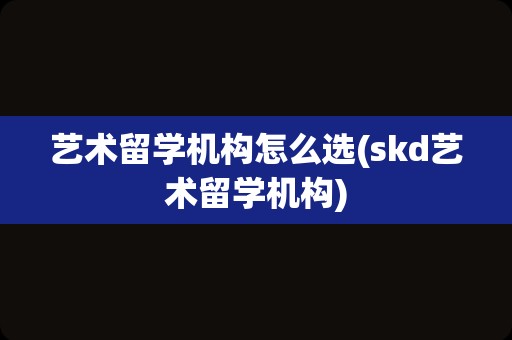 艺术留学机构怎么选(skd艺术留学机构)