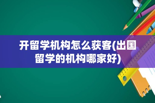 开留学机构怎么获客(出国留学的机构哪家好)