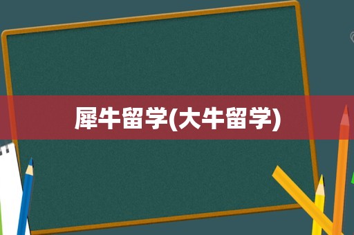 犀牛留学(大牛留学)