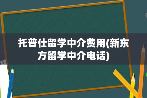 托普仕留学中介费用(新东方留学中介电话)