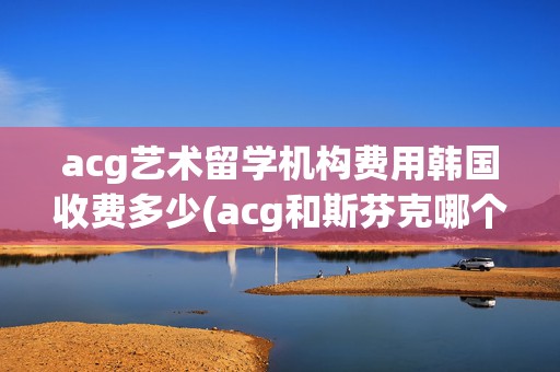 acg艺术留学机构费用韩国收费多少(acg和斯芬克哪个机构好)