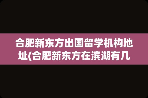 合肥新东方出国留学机构地址(合肥新东方在滨湖有几个校区)