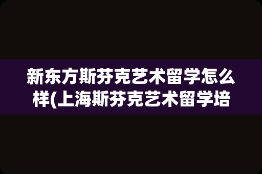 新东方斯芬克艺术留学怎么样(上海斯芬克艺术留学培训)