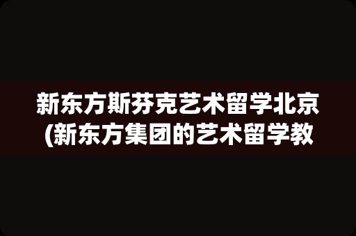 新东方斯芬克艺术留学北京(新东方集团的艺术留学教学服务中心)