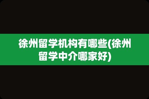 徐州留学机构有哪些(徐州留学中介哪家好)