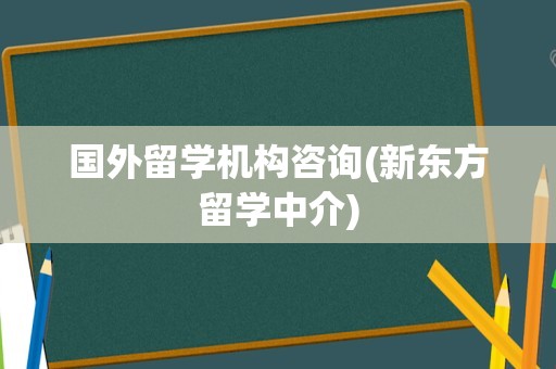 国外留学机构咨询(新东方留学中介)