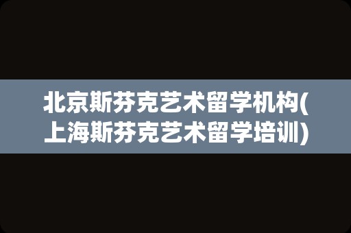 北京斯芬克艺术留学机构(上海斯芬克艺术留学培训)