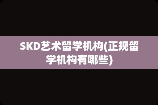 SKD艺术留学机构(正规留学机构有哪些)