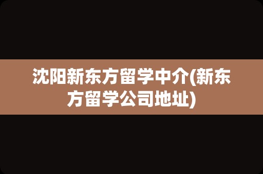 沈阳新东方留学中介(新东方留学公司地址)