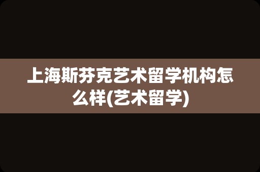 上海斯芬克艺术留学机构怎么样(艺术留学)