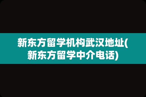 新东方留学机构武汉地址(新东方留学中介电话)