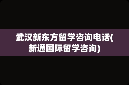 武汉新东方留学咨询电话(新通国际留学咨询)