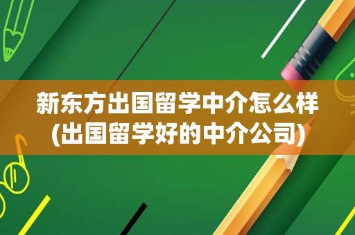 新东方出国留学中介怎么样(出国留学好的中介公司)