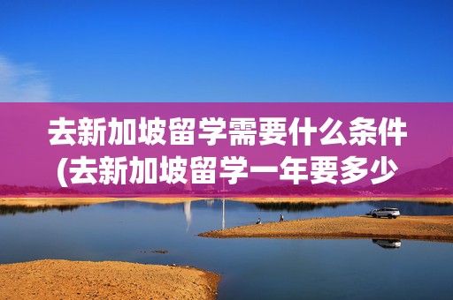 去新加坡留学需要什么条件(去新加坡留学一年要多少钱)