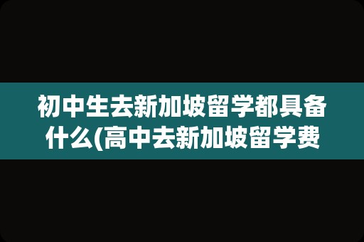 初中生去新加坡留学都具备什么(高中去新加坡留学费用)