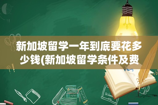 新加坡留学一年到底要花多少钱(新加坡留学条件及费用)