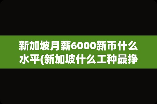 新加坡月薪6000新币什么水平(新加坡什么工种最挣钱)