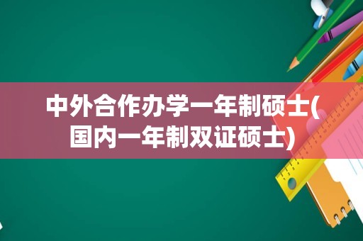 中外合作办学一年制硕士(国内一年制双证硕士)