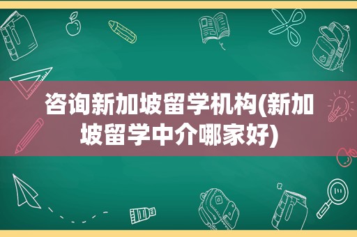 咨询新加坡留学机构(新加坡留学中介哪家好)