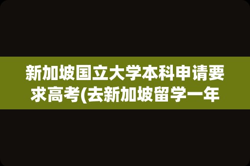 新加坡国立大学本科申请要求高考(去新加坡留学一年要多少钱)