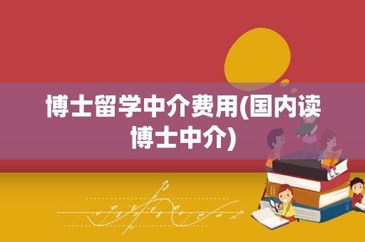 博士留学中介费用(国内读博士中介)