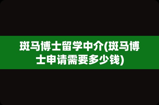 斑马博士留学中介(斑马博士申请需要多少钱)