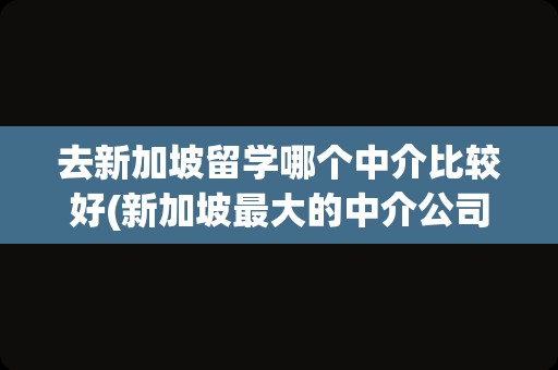 去新加坡留学哪个中介比较好(新加坡最大的中介公司)