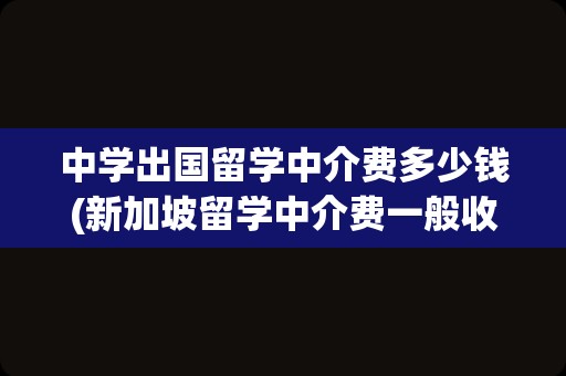 中学出国留学中介费多少钱(新加坡留学中介费一般收多少)