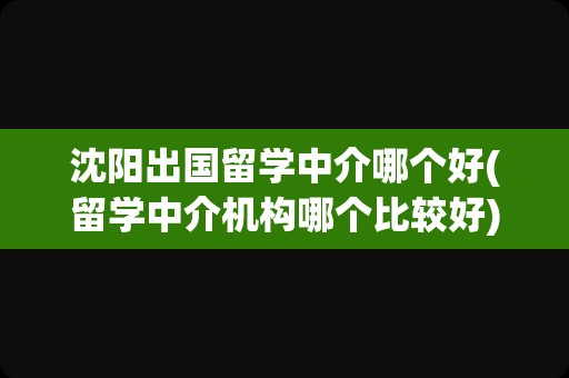 沈阳出国留学中介哪个好(留学中介机构哪个比较好)