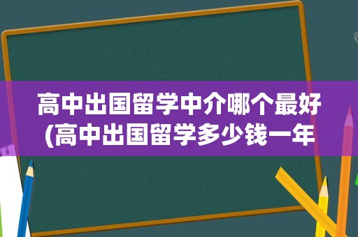 高中出国留学中介哪个最好(高中出国留学多少钱一年)