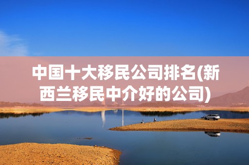 中国十大移民公司排名(新西兰移民中介好的公司)