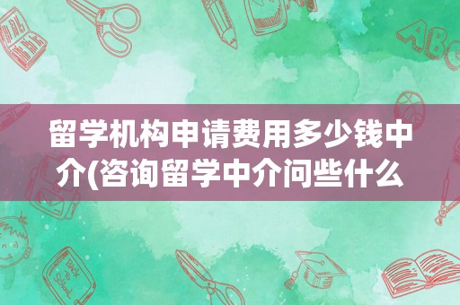 留学机构申请费用多少钱中介(咨询留学中介问些什么)