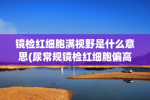 镜检红细胞满视野是什么意思(尿常规镜检红细胞偏高)