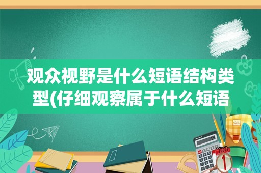 观众视野是什么短语结构类型(仔细观察属于什么短语类型)