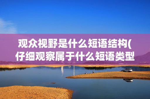 观众视野是什么短语结构(仔细观察属于什么短语类型)