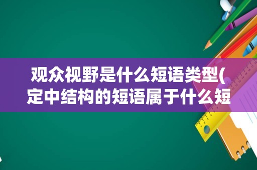 观众视野是什么短语类型(定中结构的短语属于什么短语)