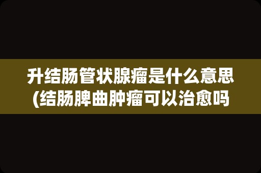 升结肠管状腺瘤是什么意思(结肠脾曲肿瘤可以治愈吗)