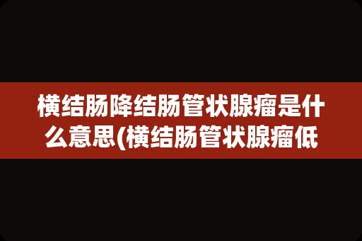 横结肠降结肠管状腺瘤是什么意思(横结肠管状腺瘤低级别上皮内瘤变)