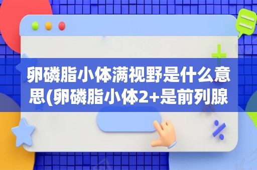 卵磷脂小体满视野是什么意思(卵磷脂小体2+是前列腺炎吗)