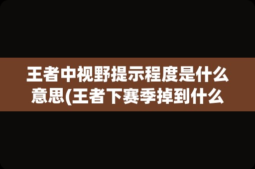 王者中视野提示程度是什么意思(王者下赛季掉到什么段位)