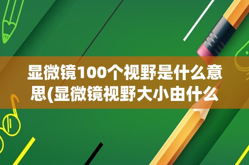 显微镜100个视野是什么意思(显微镜视野大小由什么决定)