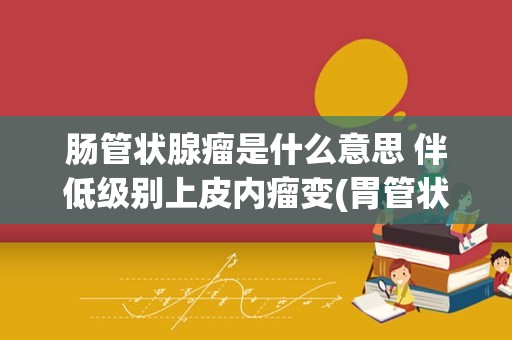 肠管状腺瘤是什么意思 伴低级别上皮内瘤变(胃管状腺瘤是什么意思)