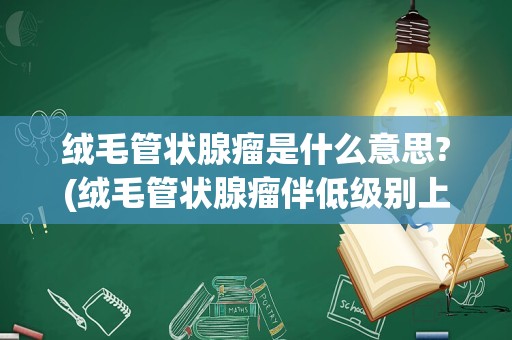 绒毛管状腺瘤是什么意思?(绒毛管状腺瘤伴低级别上皮内瘤变)