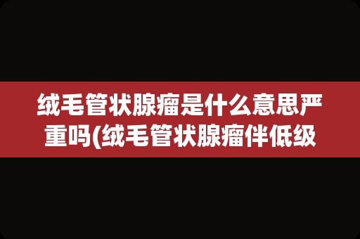 绒毛管状腺瘤是什么意思严重吗(绒毛管状腺瘤伴低级别上皮内瘤变)