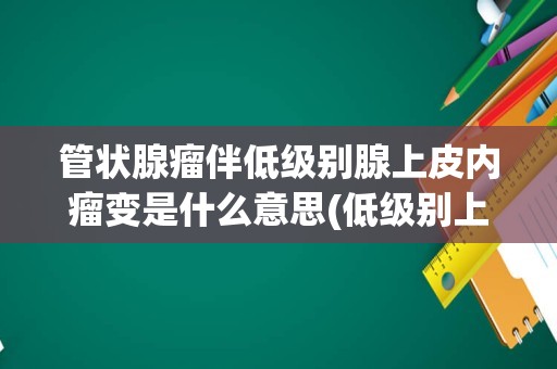 管状腺瘤伴低级别腺上皮内瘤变是什么意思(低级别上皮内瘤变)