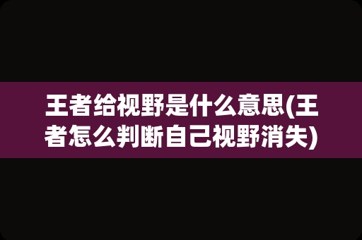 王者给视野是什么意思(王者怎么判断自己视野消失)