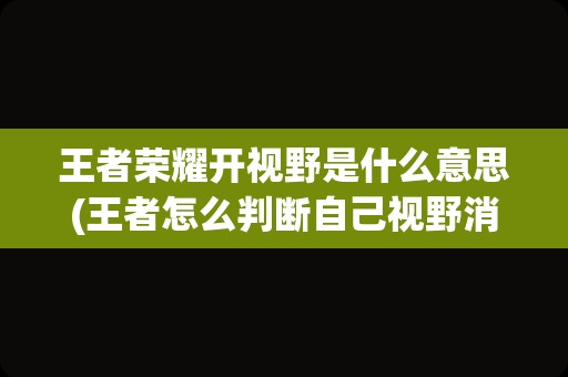 王者荣耀开视野是什么意思(王者怎么判断自己视野消失)