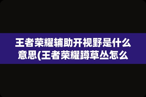 王者荣耀辅助开视野是什么意思(王者荣耀蹲草丛怎么知道漏视野了)